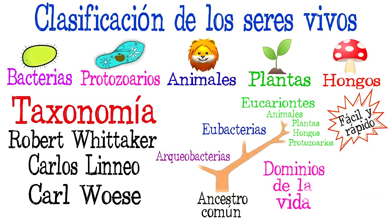 🌿5 Reinos y 3 Dominios de la Vida🐠 | Clasificación de los seres vivos| [Fácil y Rápido] | BIOLOGÍA |