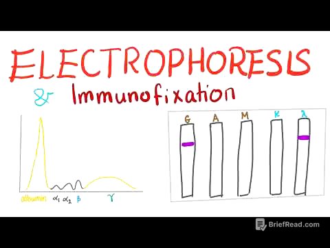 Electrophoresis, Immunoelectrophoresis and Immunofixation