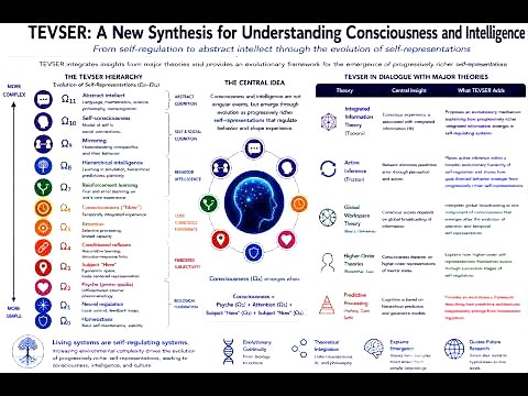 "Theory of Evolving Self-representations (TEVSER)" by Igor Pivovarov