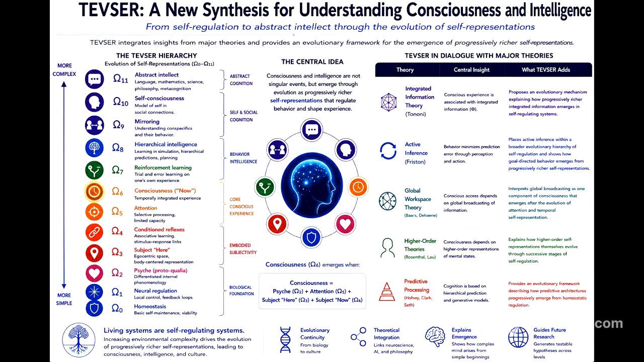 "Theory of Evolving Self-representations (TEVSER)" by Igor Pivovarov