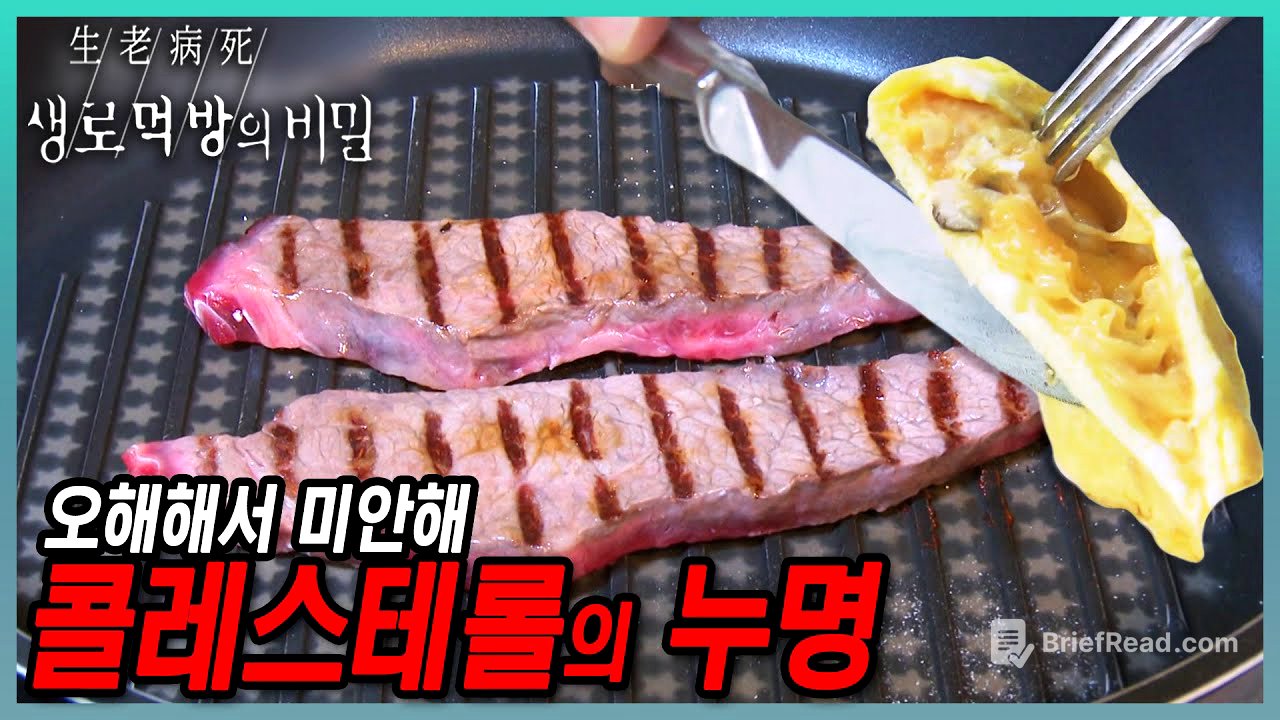 별로 재미 없지만 뻔뻔하게 올린 생로먹방 13탄! 콜레스테롤의 누명 | KBS 151028 방송