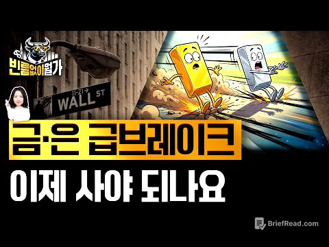 급락한 금은값 '이때'부터 다시 간다? 금·은·구리 투자 방법 | 빈난새의 빈틈없이월가
