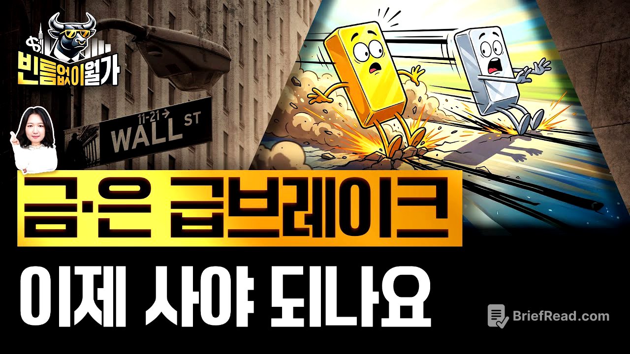 급락한 금은값 '이때'부터 다시 간다? 금·은·구리 투자 방법 | 빈난새의 빈틈없이월가