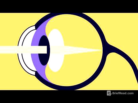 El Sistema Visual