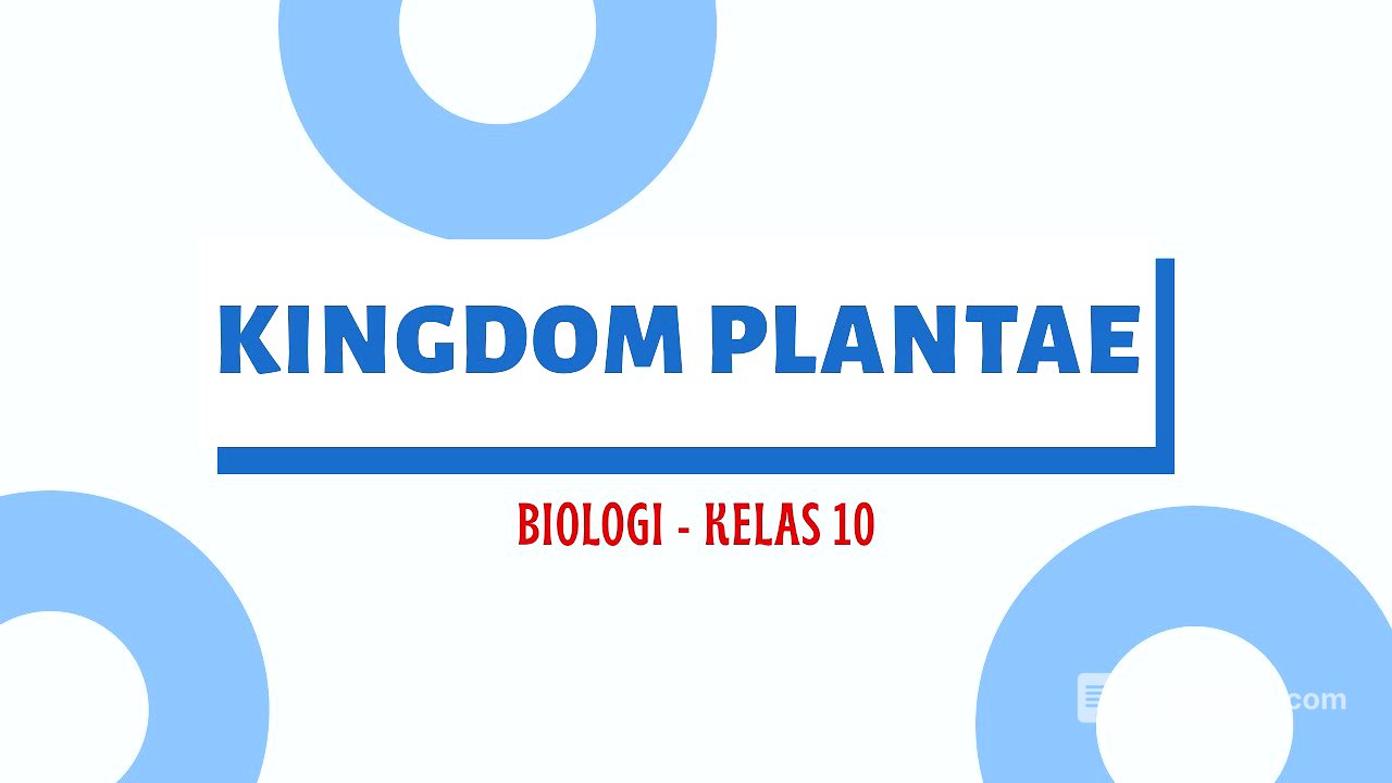 KINGDOM PLANTAE : BIOLOGI KELAS 10 SMA