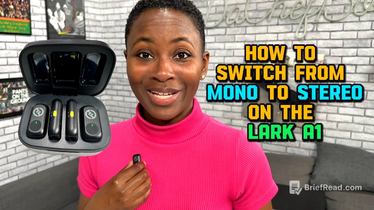 Hollyland Lark A1 - Review - How to Access Mono & Stereo Control