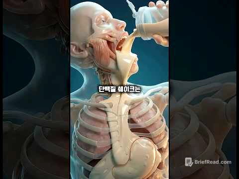 위장에서 굳는 액체