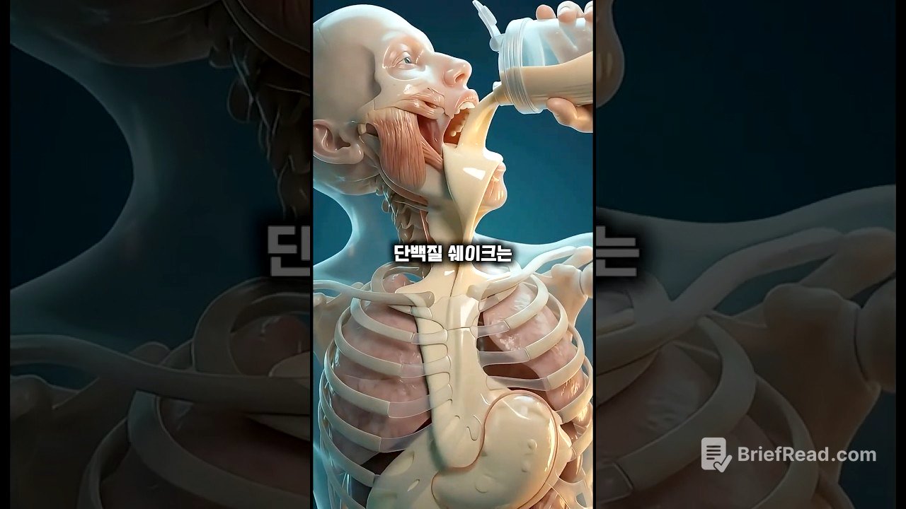 위장에서 굳는 액체