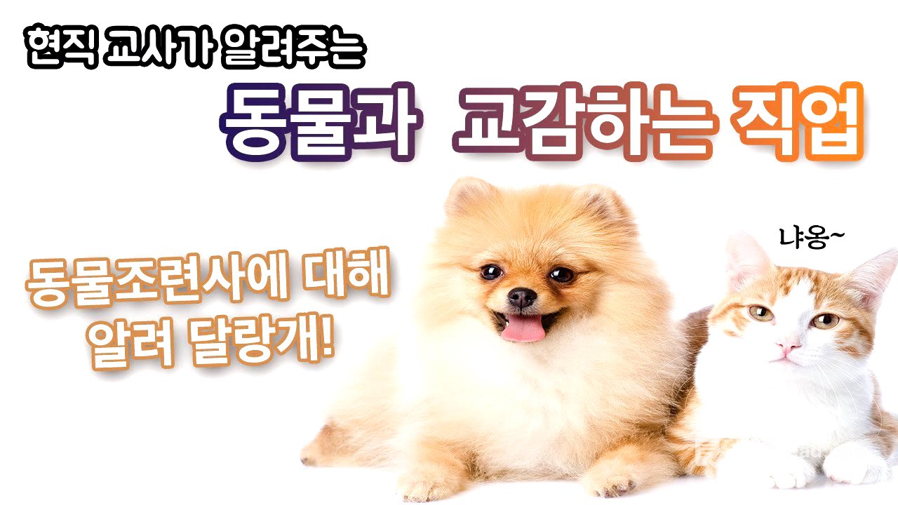 ⭐️직업과 학과⭐️동물조련사가 되려면 무슨 학과를 가야 할까?(특수동물학과 편)[나도 강형욱훈련사처럼~?]