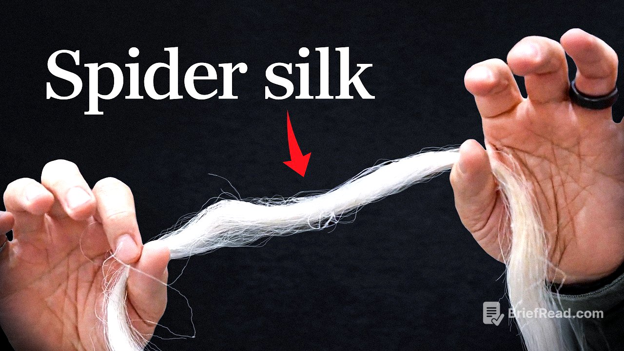 Is spider silk really stronger than steel?
