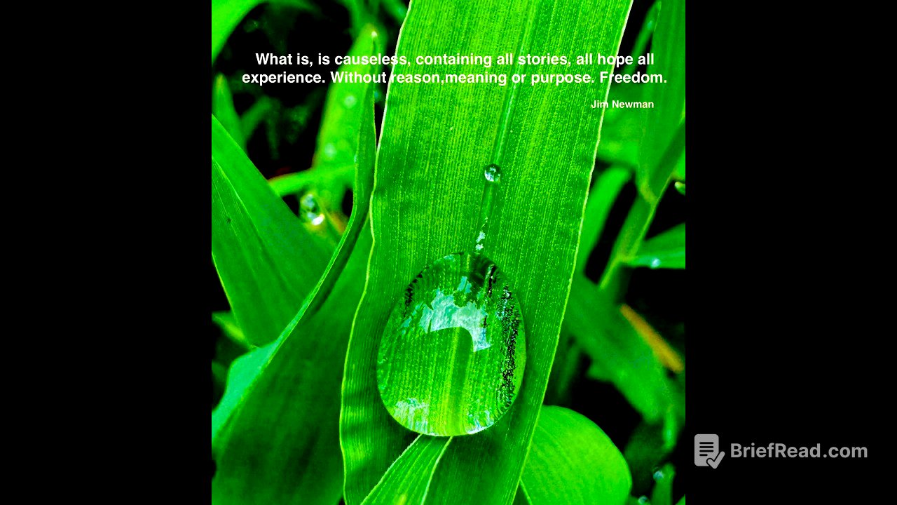 Jim Newman | Non Duality | Zoom July 2025