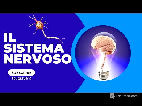 Sistema nervoso fisiologia humana per la terza media.riassunto