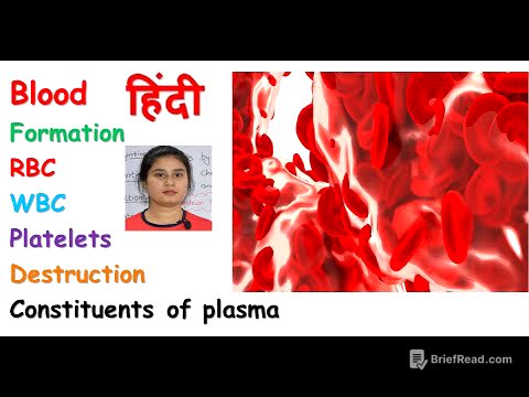 Blood anatomy & physiology in hindi || RBC || WBC || Platelets || composition of blood