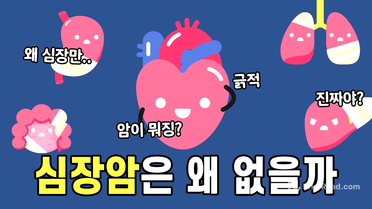 위암, 폐암, 간암, 대장암 다 있는데 왜 심장암은 없을까