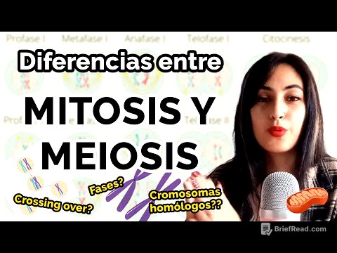 Diferencias entre MITOSIS Y MEIOSIS 🦠🧫 (+ cuadro comparativo)