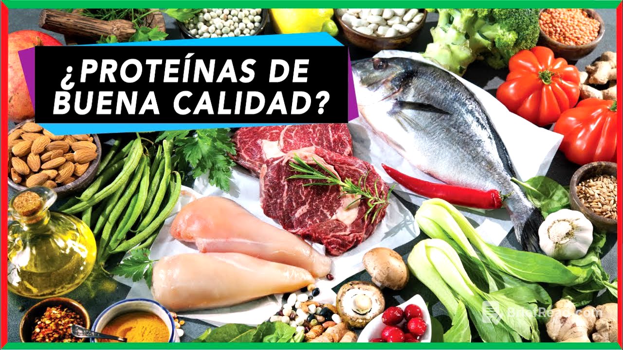 ¿Las proteínas de origen animal son mejores?  | Fundamento bioquímico