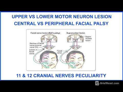 UPPER VS LOWER MOTOR NEURON LESION,CENTRAL VS PERIPHERAL FACIAL PALSY,11&12CRANIAL NERVE PECULIARITY