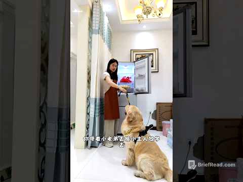 What Happened When Dog Left Home with a Camera