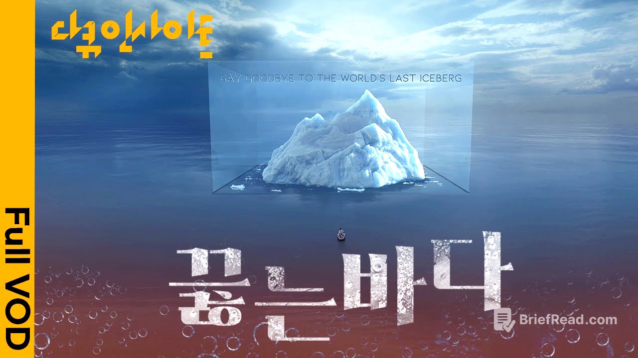 뜨거워진 바다가 우리 삶을 위협한다!  전세계에서 벌어지는 ‘극한의 이상기후’ㅣ KBS 다큐인사이트 23.07.13 방송