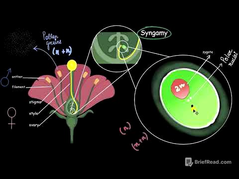 Double fertilization| Sexual reproduction in flowering plants | Biology | Khan Academy