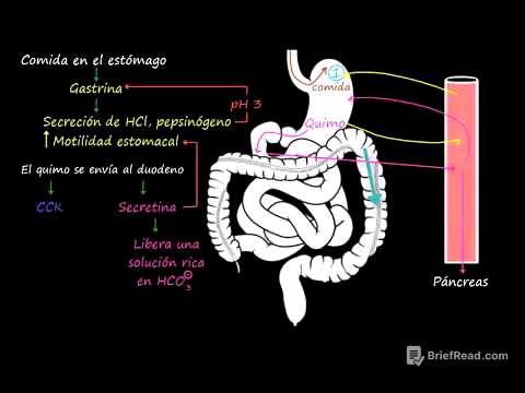 Control del tracto gastrointestinal | Fisiología del sistema gastrointestinal