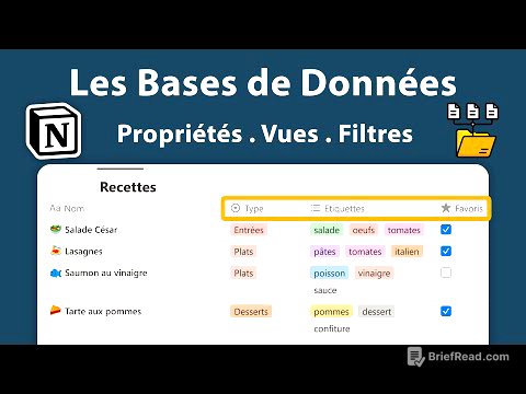 Les Bases de données dans Notion ⚡📀