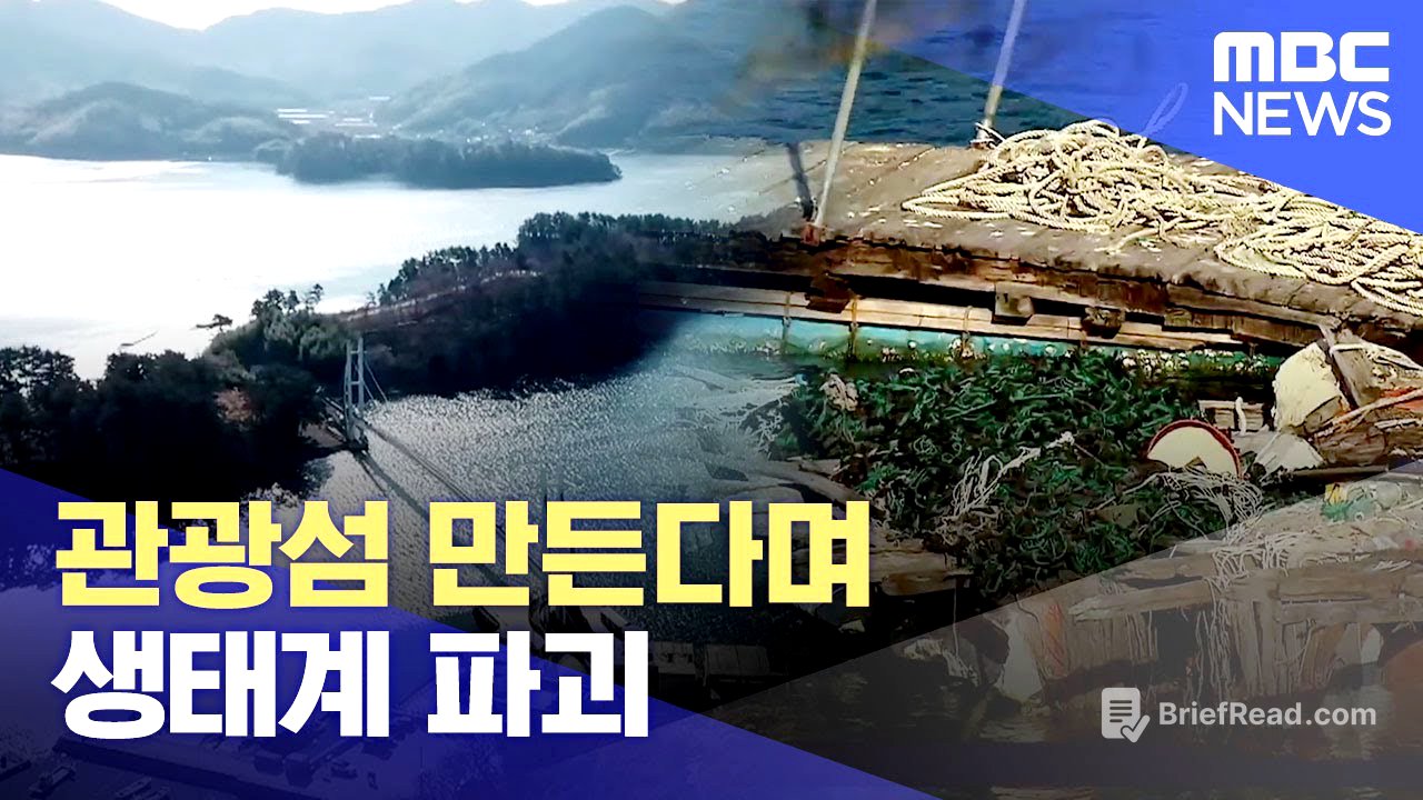 관광섬 만든다며 생태계 파괴 (2025.01.07/뉴스데스크/MBC경남)