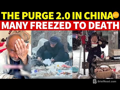 The Purge 2.0 in China: Drones Monitor 24/7, Coal Burning Fined ¥2,000, Many Freeze to Death