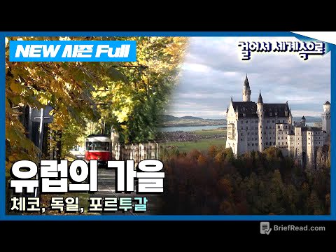 [✨NEW✨걸어서세계속으로📺] 유럽의 가을, 그 색채에 스며들다 '체코, 독일, 포르투갈' 여행 (KBS 20241102)