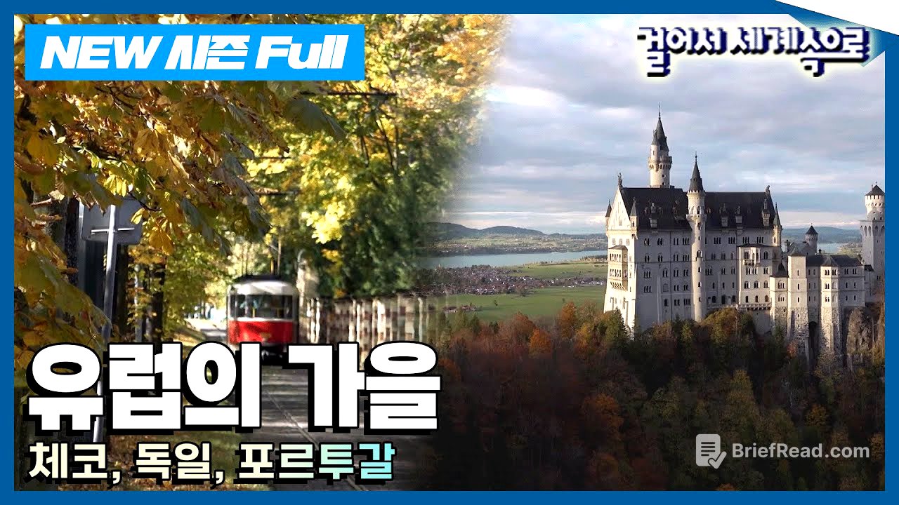 [✨NEW✨걸어서세계속으로📺] 유럽의 가을, 그 색채에 스며들다 '체코, 독일, 포르투갈' 여행 (KBS 20241102)