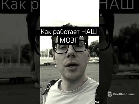 простыми словами КАК РАБОТАЕТ НАШ МОЗГ #мотивация #мотиватор