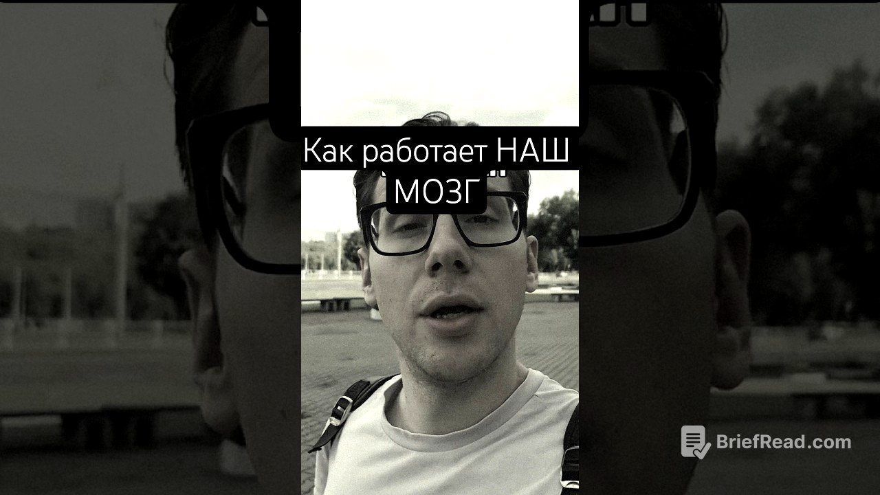 простыми словами КАК РАБОТАЕТ НАШ МОЗГ #мотивация #мотиватор