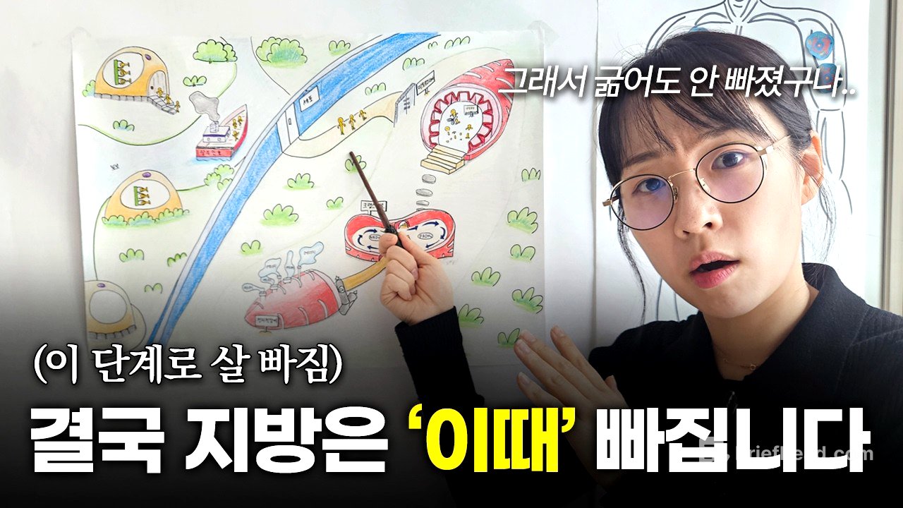 살 빠지는 루트! 당신은 어디서 막혔나?