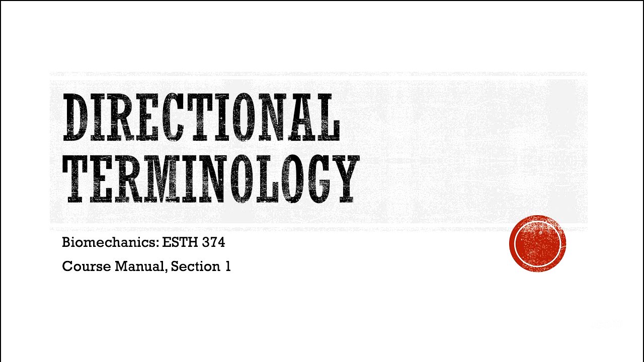 Directional Terminology