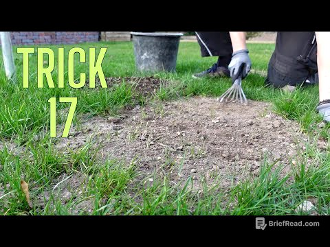 Kahle Stellen im Rasen ausbessern | einfacher Trick