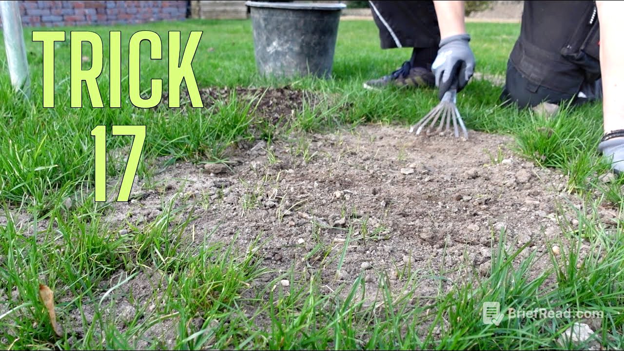 Kahle Stellen im Rasen ausbessern | einfacher Trick