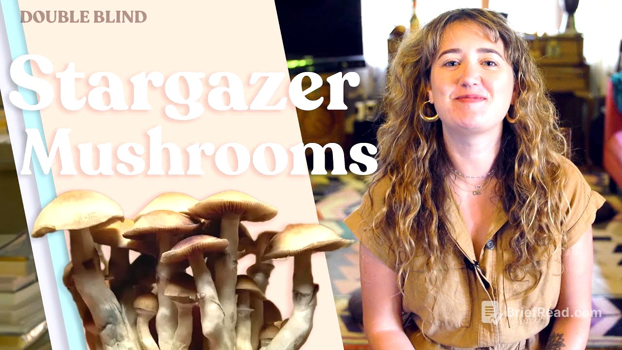 Stargazer Mushrooms 🔭 | DoubleBlind