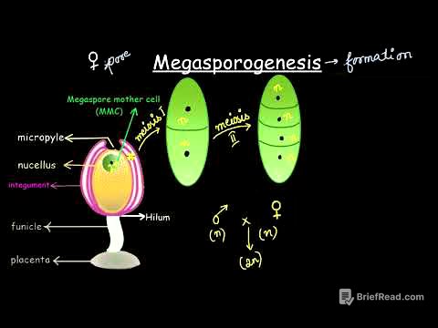 Megasporogenesis | Sexual reproduction in flowering plants | Biology | Khan Academy