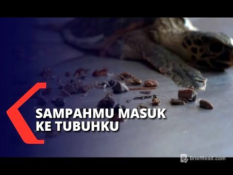 Penyu Terdampar di Bibir Pantai, Akibat Pencemaran Sampah Plastik di Laut ?