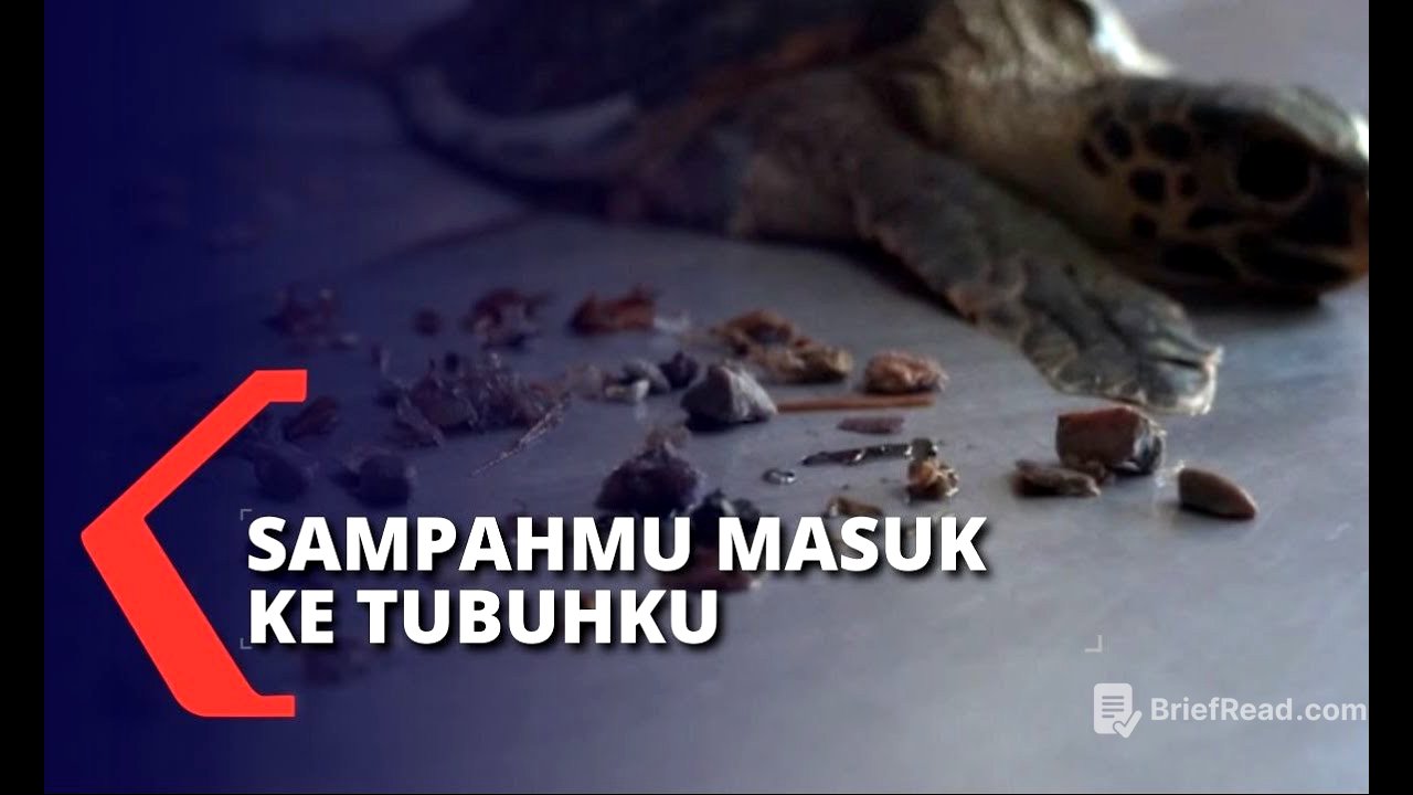 Penyu Terdampar di Bibir Pantai, Akibat Pencemaran Sampah Plastik di Laut ?