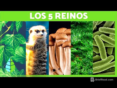 Los 5 REINOS de la NATURALEZA 🌍 (Animalia, Plantae, Fungi, Monera y Protista)