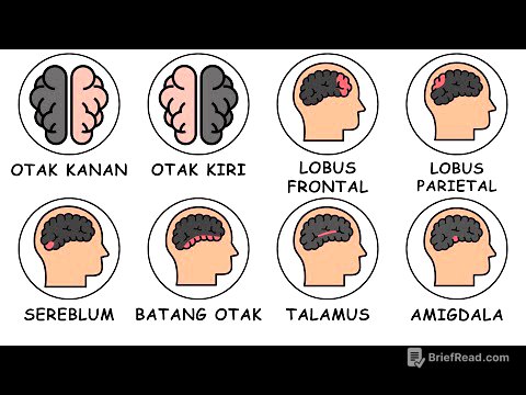 Seluruh Bagian Otak Dijelaskan Dalam 10 Menit !