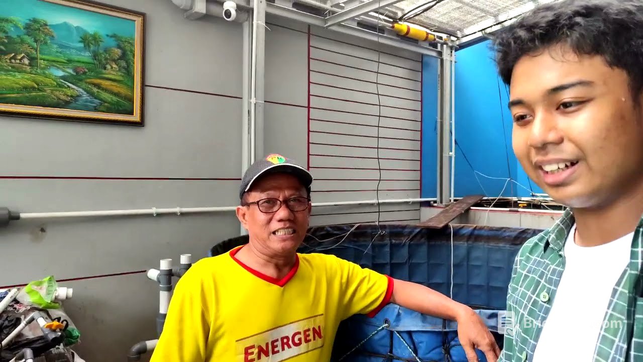 Aplikasi pembuatan Pro biotik untuk pembibisan pakan