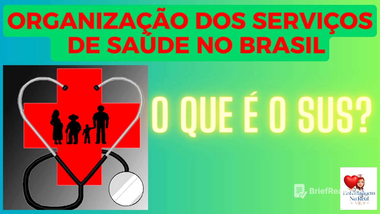 O QUE É E COMO FUNCIONA O SUS (SISTEMA ÚNICO DE SAÚDE)
