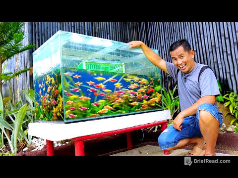 Tetra Fish Breeding at Home in an Easy Way using a 100-gallon Aquarium!