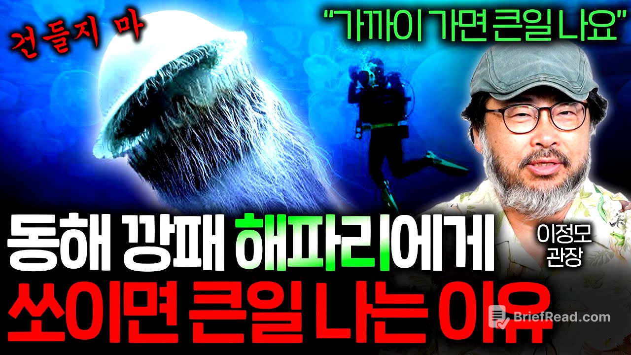 한반도 앞 바다에 계속 증가하는 해파리가 대멸종도 견뎌낸 이유(불멸의 해파리..) | 과학정모 EP.40