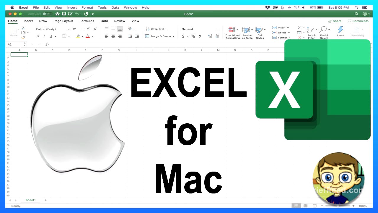 Beginner's Guide to Excel for Mac