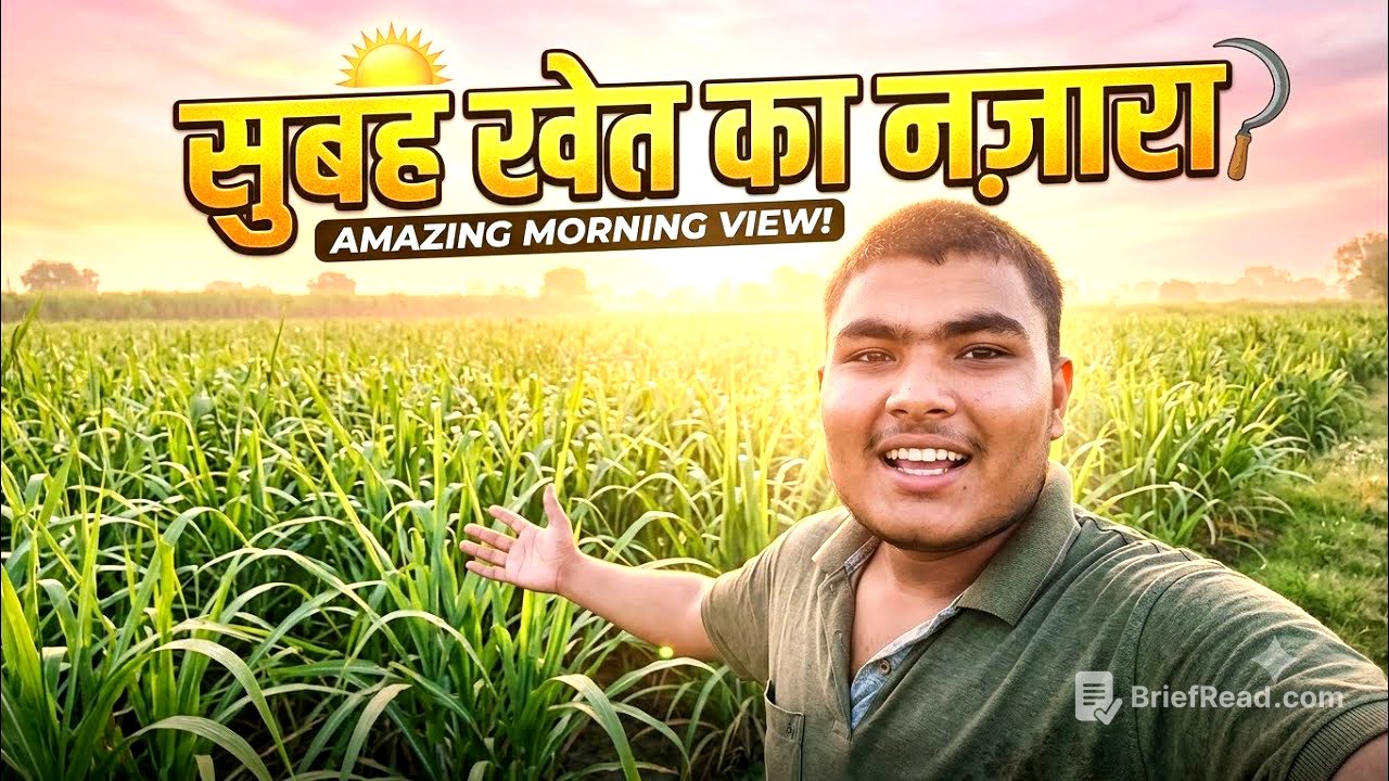 शहर छोड़ कर गाँव आया: देखिए आज क्या हुआ!