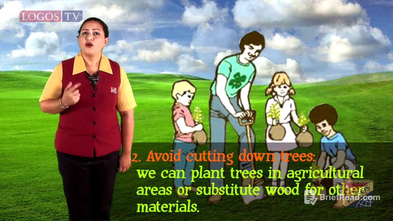 The environment problems and solutions   Logos Academy