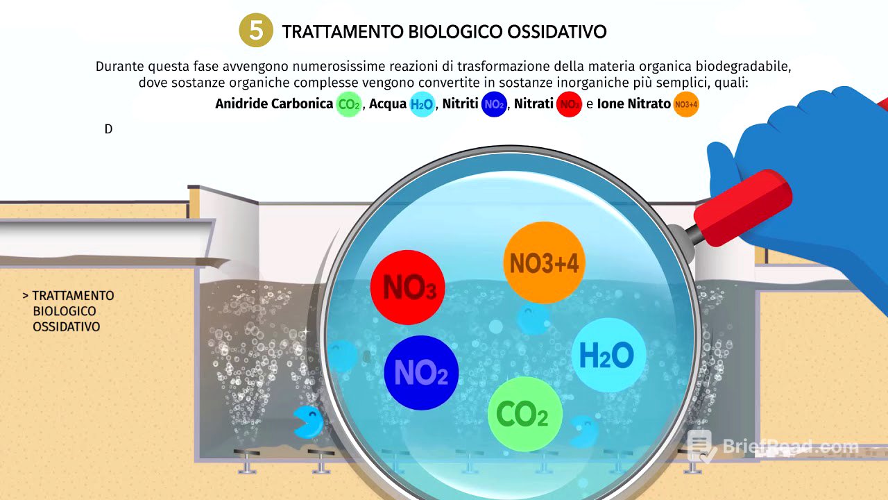 Video Depurazione